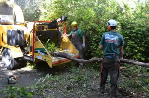 tree services Suffield Depot